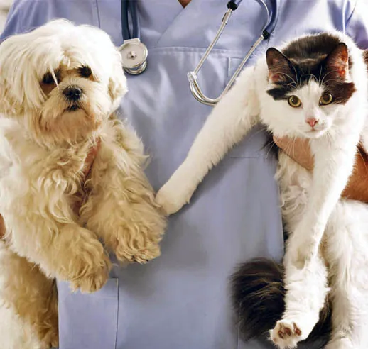 Veterinária segurando um cão e um gato no colo